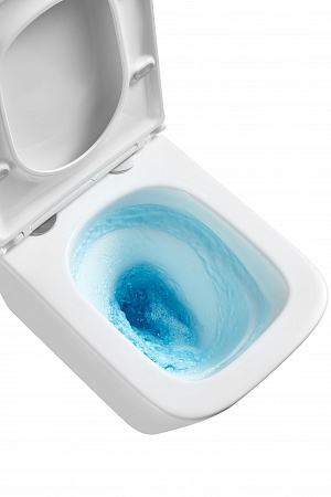 Подвесной унитаз безободковый Terminus Ватикан Monolit 490х340 белый Комсомольск-на-Амуре - фото 8