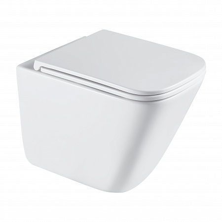 Подвесной унитаз безободковый Terminus Ватикан Monolit 490х340 белый Комсомольск-на-Амуре - фото 2