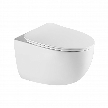 Подвесной унитаз безободковый Terminus Енисей Monolit 560х390 белый Комсомольск-на-Амуре - фото 2