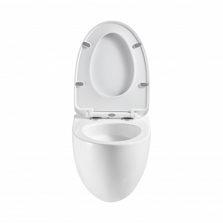 Подвесной унитаз безободковый Terminus Енисей Monolit 560х390 белый Комсомольск-на-Амуре - фото 5