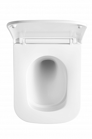 Подвесной унитаз безободковый Terminus Ватикан Monolit 490х340 белый Комсомольск-на-Амуре - фото 3